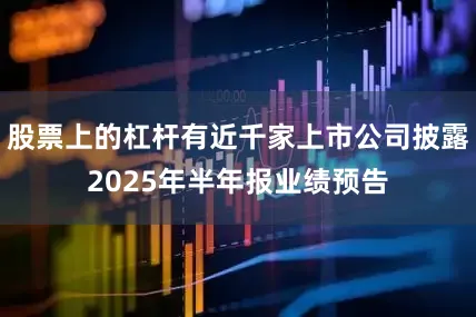 股票上的杠杆有近千家上市公司披露2025年半年报业绩预告