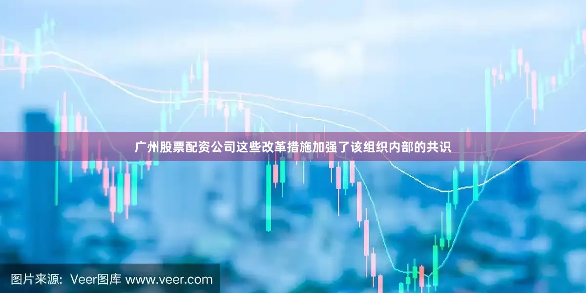 广州股票配资公司这些改革措施加强了该组织内部的共识