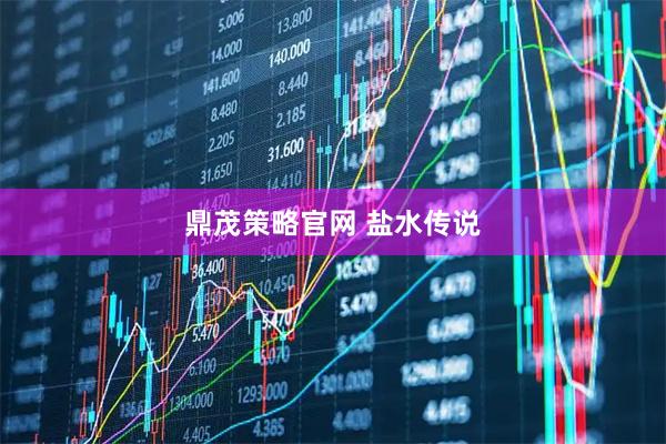 鼎茂策略官网 盐水传说