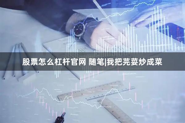 股票怎么杠杆官网 随笔|我把芫荽炒成菜