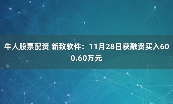 牛人股票配资 新致软件：11月28日获融资买入600.60万元