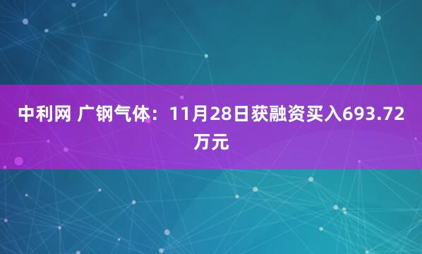 中利网 广钢气体：11月28日获融资买入693.72万元