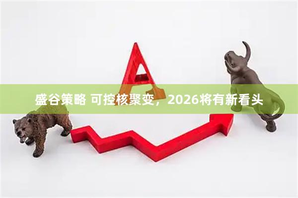 盛谷策略 可控核聚变，2026将有新看头