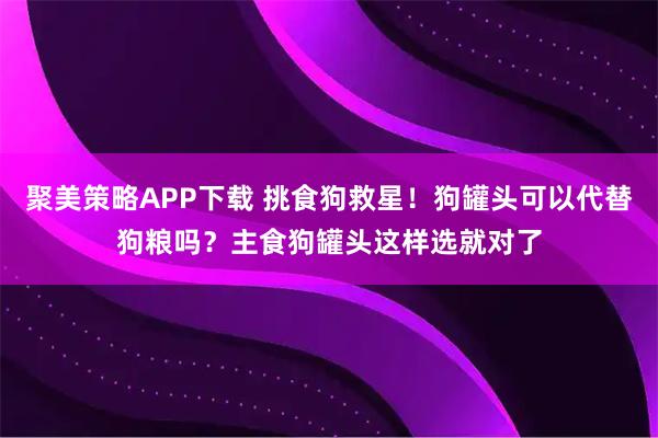 聚美策略APP下载 挑食狗救星！狗罐头可以代替狗粮吗？主食狗罐头这样选就对了